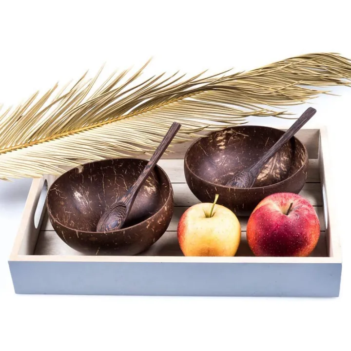 Coconi Coconut Bowl - Top View